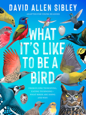 cover image of What It's Like to Be a Bird: Adapted for Young Readers